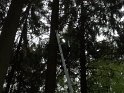 Maibaum_2018 (15)